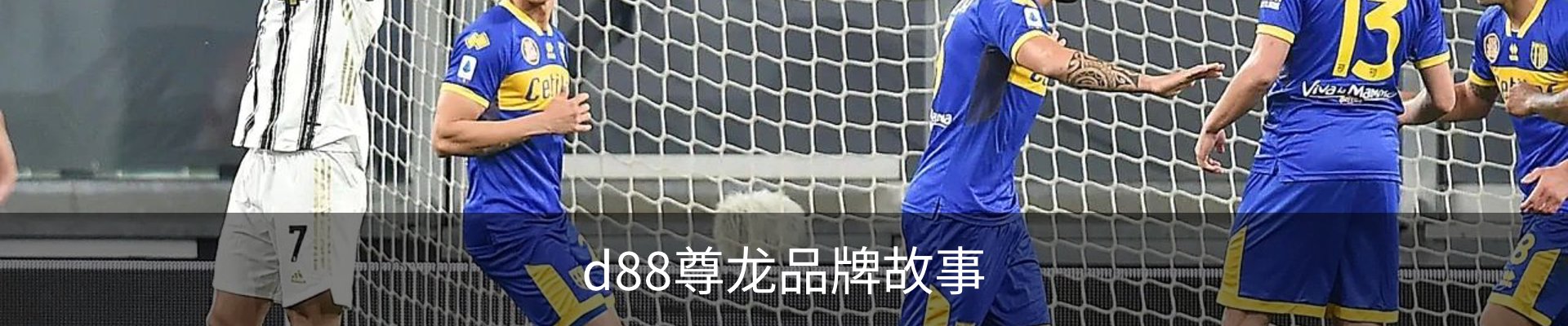d88尊龙品牌故事